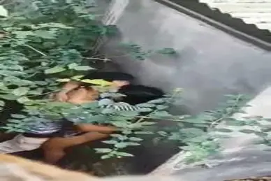 Ml Di Balik Tembok